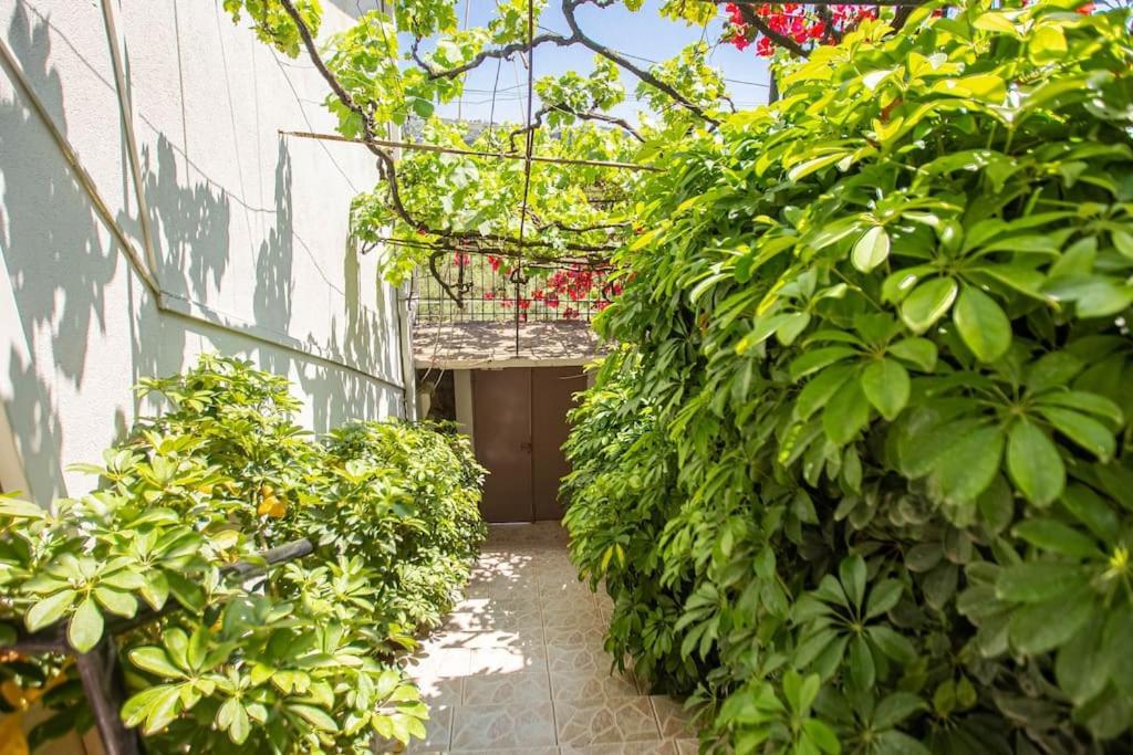 Blue Maraci 2 - Sea View, Kitchen, Beach Access Διαμέρισμα Χειμάρρα Εξωτερικό φωτογραφία
