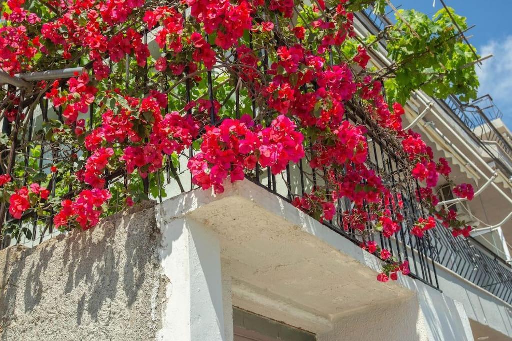Blue Maraci 2 - Sea View, Kitchen, Beach Access Διαμέρισμα Χειμάρρα Εξωτερικό φωτογραφία